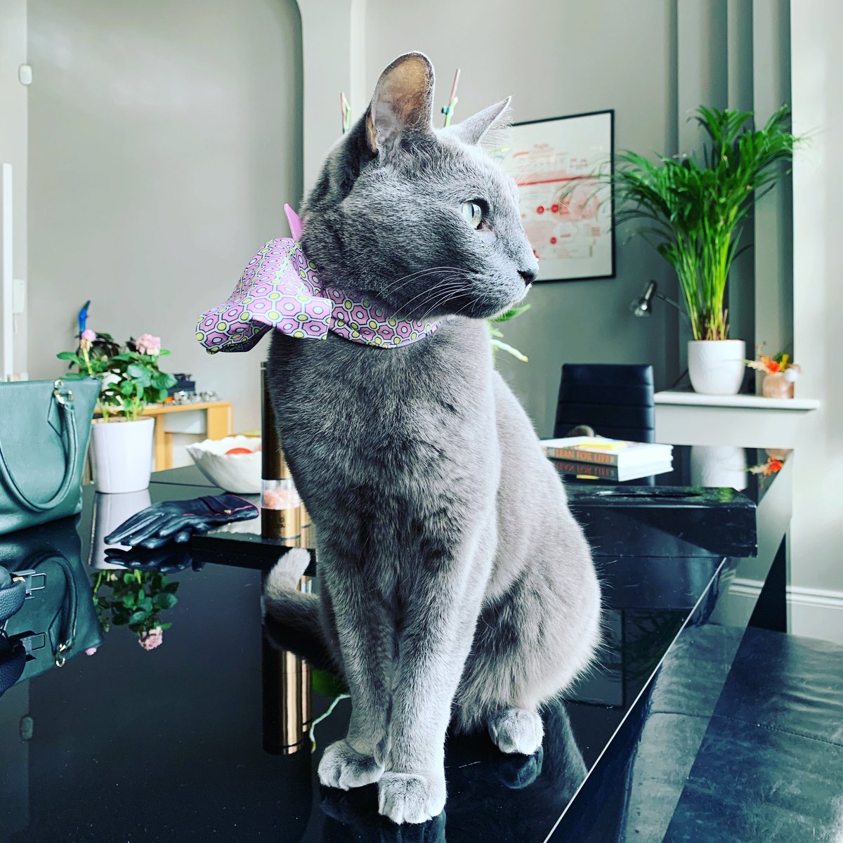 Sheetal Thaker tweet media