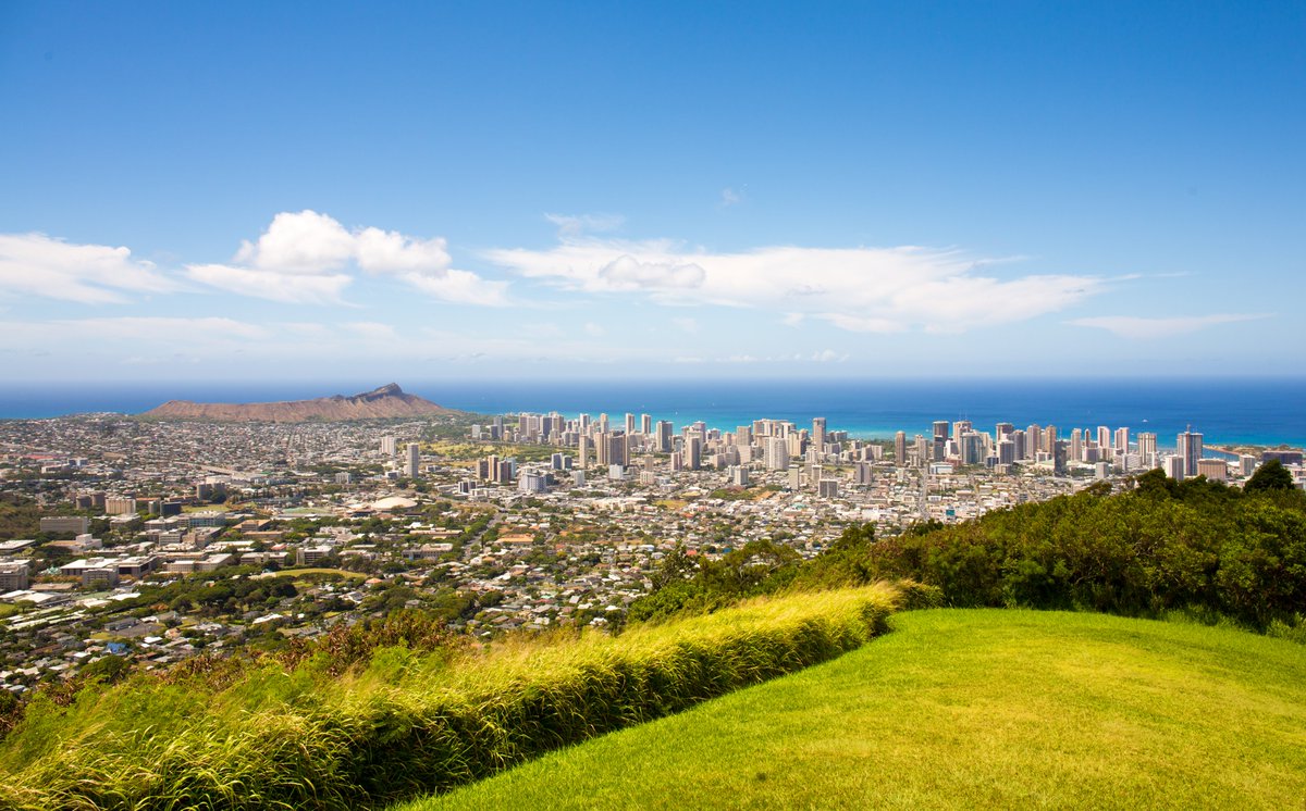 HawaiiEcotours's tweet photo. Honolulu Heights on Oahu offers amazing views of the city. Get outdoors. #takeahike #hawaiiforest https://t.co/T52s3yYcEM