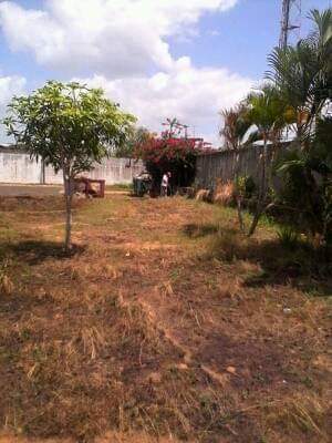 JuanAnt59315117's tweet photo. En el día de hoy la brigada del CDI Nueva Chirica realizó una jornada de higiénica y epidemiológica para eliminar todo tipo de vectores.
#SomosContinuidad #CubaCoopera @DiazCanelB @cubacooperaVEBO @yordan_acanda @CamposYainer @AdanVillavicen5 @CDIChiricaBol https://t.co/Np76uMimAJ