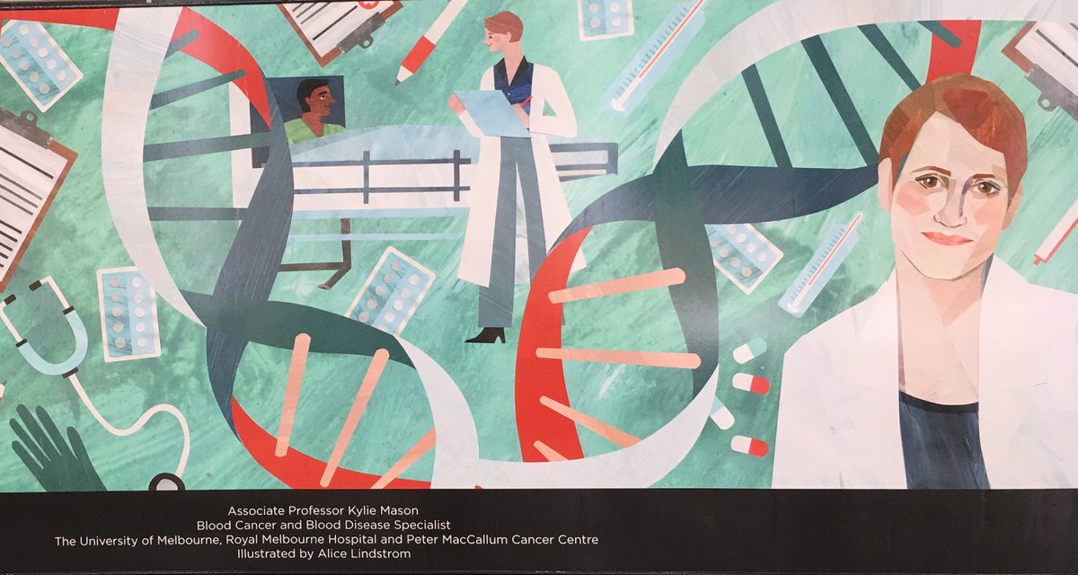 WISparkville's tweet photo. Come & see our amazing researchers celebrated in the beautiful Parkville Story Telling Project by @metrotunnelvic See @Shawna_Far from @TheFlorey; @DrMistyJenkins from @WEHI_research; Dr Kylie Mason from @PeterMacCC & @FrancesBiophys from @Bio21Institute https://t.co/MgOwxOFhw8 https://t.co/3hYZx19hNL