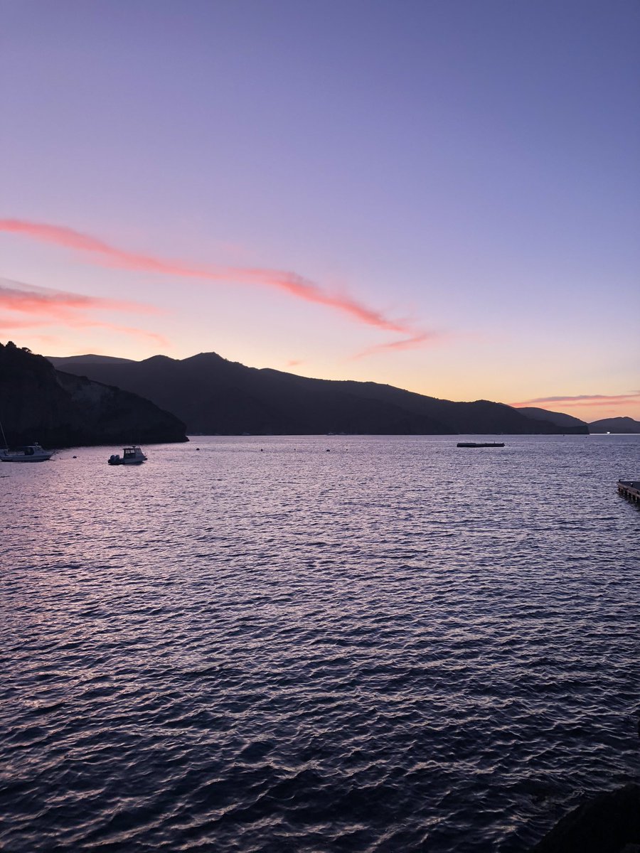 This weekend we visited the USC Wrigley Institute for Environmental Studies on Santa Catalina Island and we would like to go back now, please. Thank you @USCWrigleyInst!