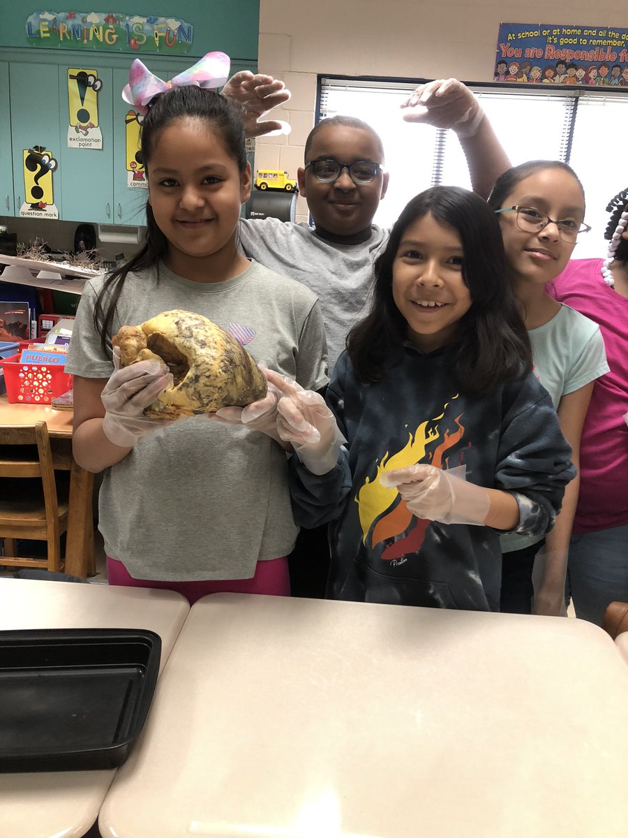 sfletch's tweet photo. Science Fun for Everyone- Great experience for my 3rd graders!  A scientist visited our classroom - Skin-n-Bones!  @sfletch @caseywjackson @AYCOCKSCHOOL @Kathryn71268784 @VanceCoSchools #weareaycock https://t.co/waU9Ah3wZW