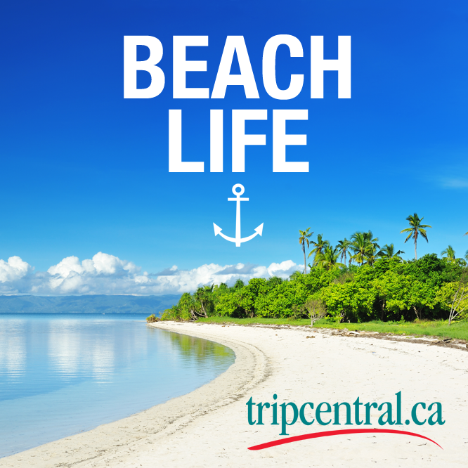 Is there any life better?🌞