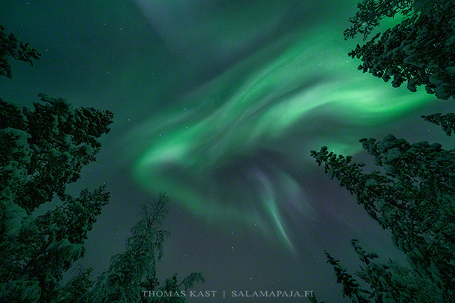 ThomasKast1's tweet photo. Incredible show just a few hours ago, so worthy to wait in the cold! Can you imagine the big smiles after this? 
Wanna join one of my tours: https://t.co/yU7LCrQcju
#lapland #finland #auroraborealis #salamapaja_tours https://t.co/ZsCDtEi2wX