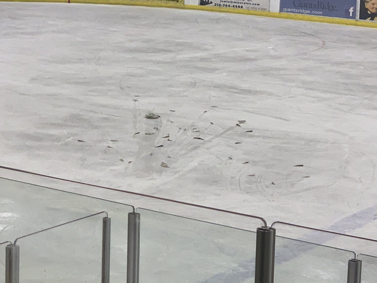 BMortensonPXP's tweet photo. Delay at the Eveleth Hippodrome for cleanup of a bag of minnows after the Golden Bears 3rd goal! https://t.co/rrcMX3BrE8