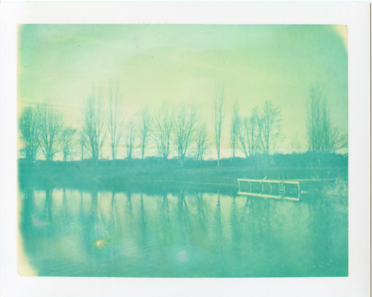 carlostella86's tweet image. Landscape
•
instagram.com/p/B8uoRNGo14d/…

#polaroid #polaroid669 #type100film #expiredfilm  #landscape #polaroid_esthetics #polavoid #polaroidersitalia #polaroidoriginals #filmphotography #filmisnotdead #sea #instantphoto #snapitseeit #polaroid230 #polazine #beliveinfilm