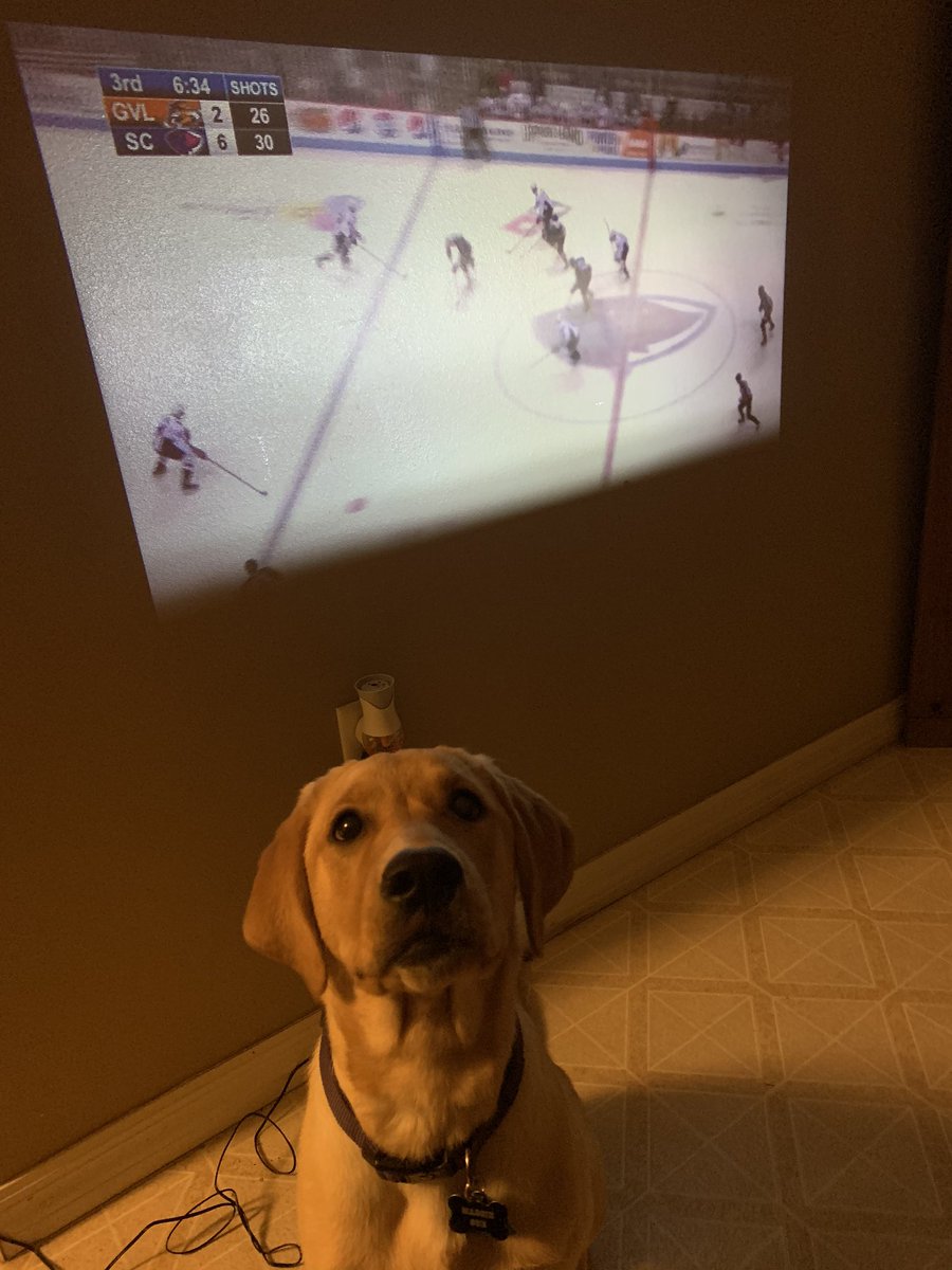 nwilder96's tweet photo. @SwampRabbits Maggie cheering on her daddy from Florida! Maggie says “Go #3! Go Rabbits!” https://t.co/a2D75zUT8N