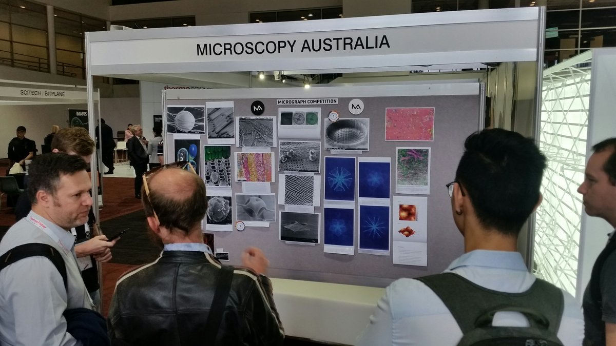 Microscopy Australia tweet media