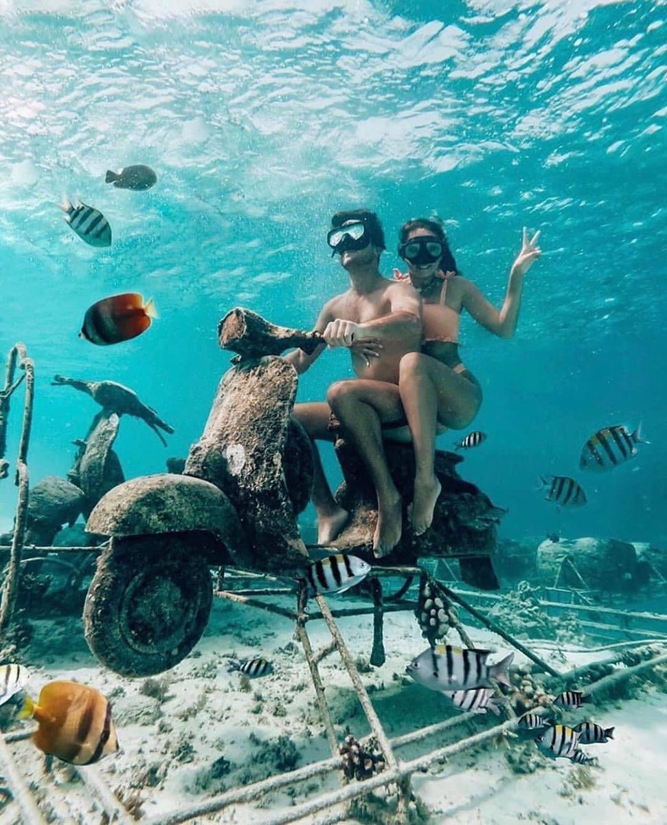 DreamMaker (@dreammakerexp) on Twitter photo Commute goals
#GiliIslands, #Indonesia⠀
Please visit HouseofDreamMaker.com and follow <a href="/dreammakerexp/">DreamMaker</a> #NeverToBeRepeatedDesigns
#HouseofDreamMaker
by <a href="/explorerssaurus/">Raquel & Miguel</a> Commute goals
#GiliIslands, #Indonesia⠀
Please visit HouseofDreamMaker.com and follow <a href="/dreammakerexp/">DreamMaker</a> #NeverToBeRepeatedDesigns
#HouseofDreamMaker
by <a href="/explorerssaurus/">Raquel & Miguel</a>