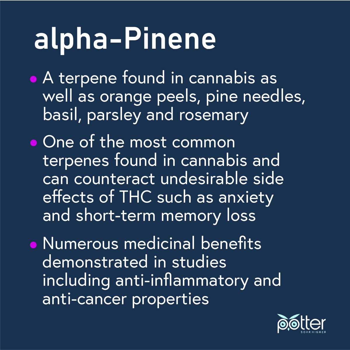 potterhemp's tweet image. This week’s #TerpeneTuesday goes out to alpha-Pinene, a terpene found in cannabis as well as pine needles, basil and rosemary. Check out the infographic below for more interesting facts on this brain boosting heavy hitter 🥊
#terpenetuesday #alphapinene #cannabis #hemp