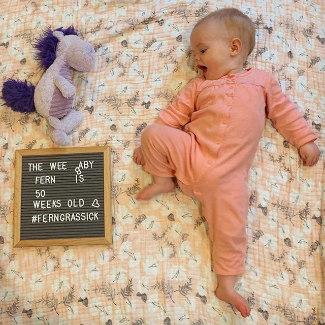 mgrassick's tweet image. Fever free and ready to get back on her two feets #FernGrassick #50WeeksOld #PurpleHorsey ift.tt/3bQSlOM