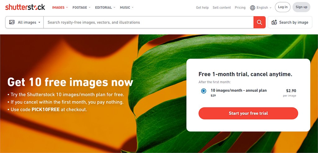 Azougaghphoto tweet media