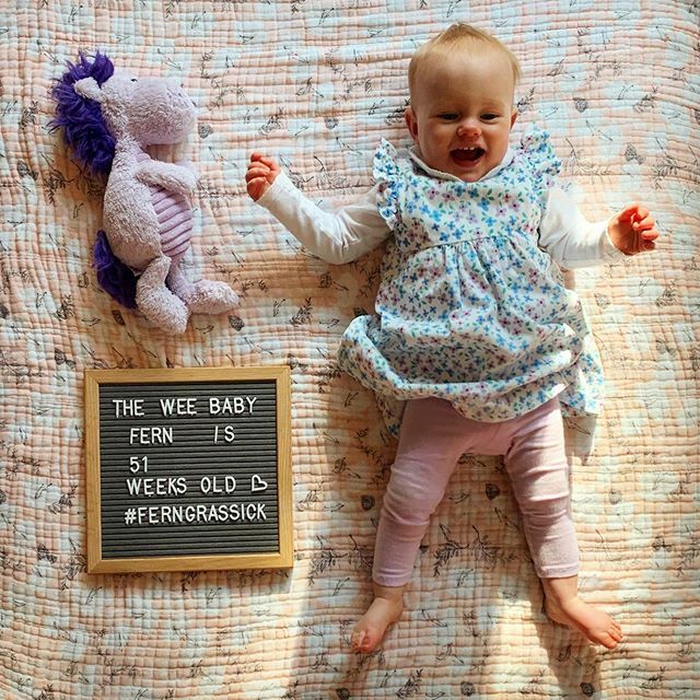 mgrassick's tweet image. So happy that Mimmi and Pappaw are in town #FernGrassick #51WeeksOld #PurpleHorsey ift.tt/2wtG2HX