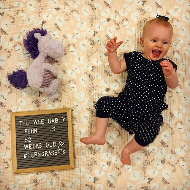 mgrassick's tweet image. And in the blink of an eye, or wee tiny lady turned one year old. We've learned that she is both beautiful inside and out and we love her with all our hearts. Happy birthday #FernGrassick #52WeeksOld #PurpleHorsey ift.tt/38JUCt2
