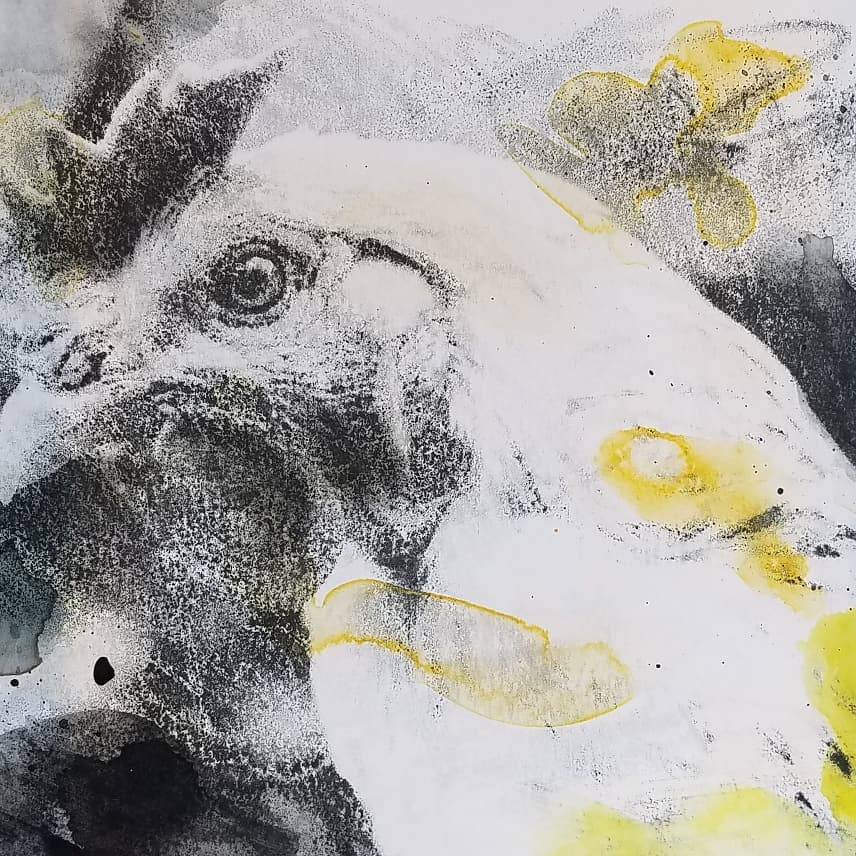 Gallery 4 Fargo on Twitter "Original art gifts from local artists