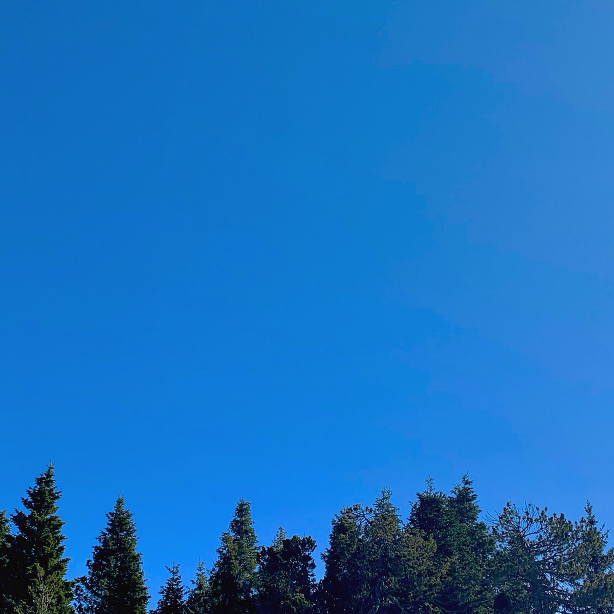 VMeteore's tweet photo. Le ciel bleu Pyrénées 🏔🔷🌞 #altitudesky #pyrenees #roussillon #cerdagne #lesud #languedocroussillon https://t.co/8BSfIgh94E