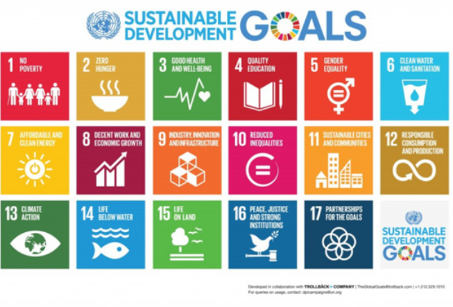 wef's tweet photo. 7 gripping, powerful and original books that bring the UN's sustainable development goals to life https://t.co/2JizSoTiGD #sdg @wefbookclub https://t.co/DWPDg1kmXw