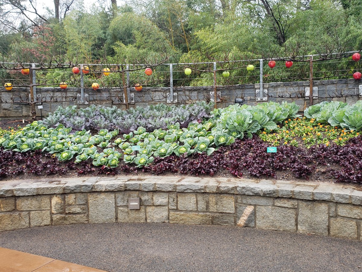 GiftedMonroeCo's tweet photo. Budding plant experts https://t.co/bhBnj6D5XN