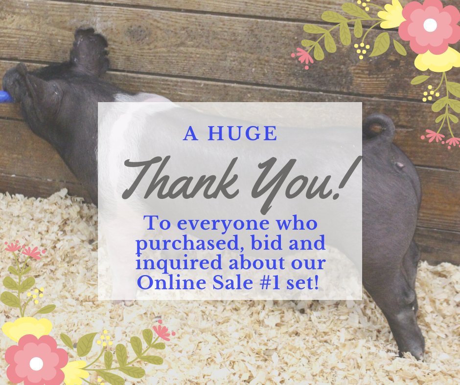 ShafferGoldrush's tweet photo. Thank you everyone for a great sale tonight!  Good luck this summer! https://t.co/zdcE2BKrhT