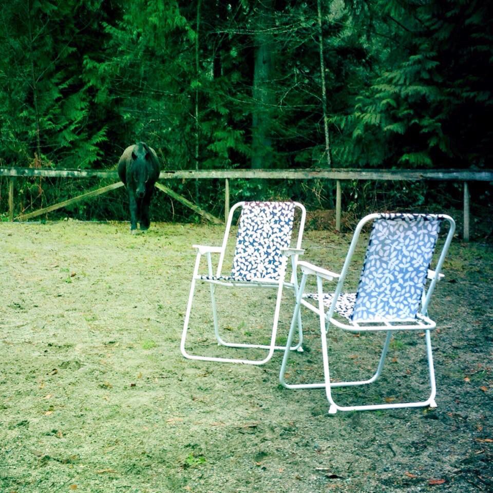 EarsForward's tweet image. The herd awaits your arrival... ready to find your voice and have that difficult conversation you’ve been putting off? Now is the Time! Join us in Maple Ridge : earsforward.com