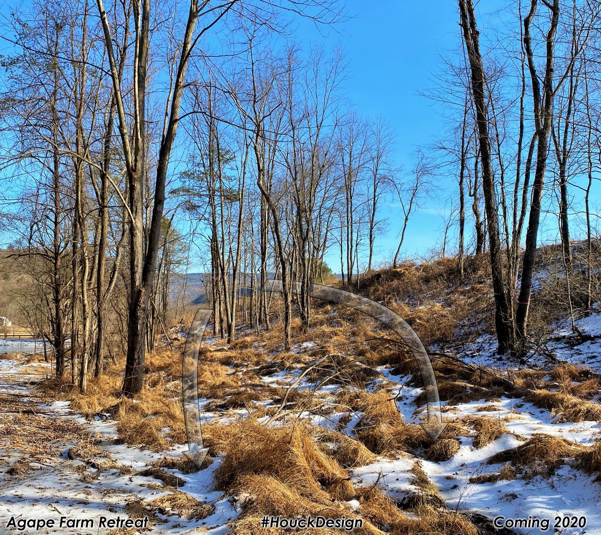 HouckDesign's tweet photo. Tuesday is... Agape Day. Hole #1 will be a great taste of what's to come. A Par 4 with lots of sidehill, on the drive and on the approach. Not too tight, very birdieable, but... #discgolf #Agapediscgolf #discgolfcourse #coursedesign #discgolfdesign https://t.co/mFcAwEfzjs https://t.co/7jomGsk00D