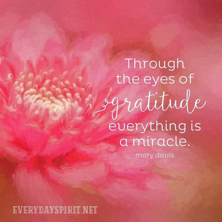 SpiritualNugg's tweet photo. https://t.co/9kbcx0pUuw