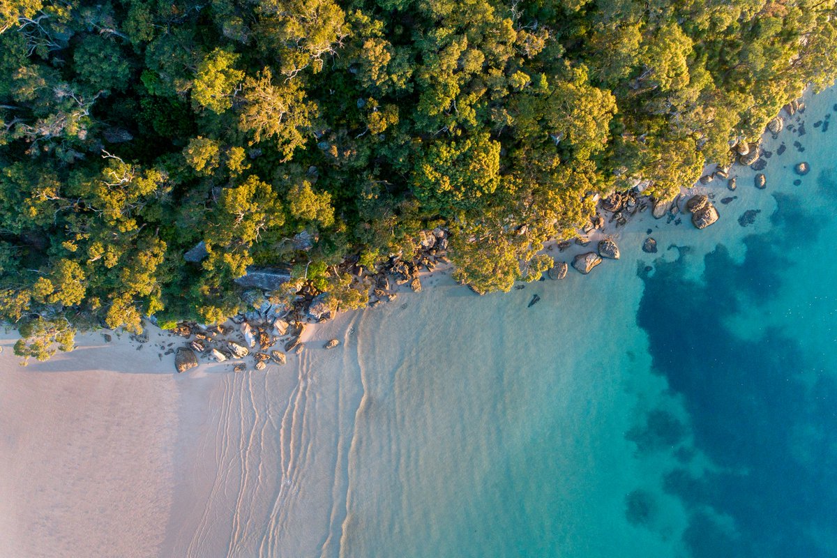 PureWaterAust's tweet photo. Ready to go a little greener during summer? 🌱 Try these 5 simple eco-friendly tips today ➡️ https://t.co/drIj7V6Jxd #ecofriendly #ecotips #gogreen #saynotoplastic https://t.co/iTVGUs3wgg
