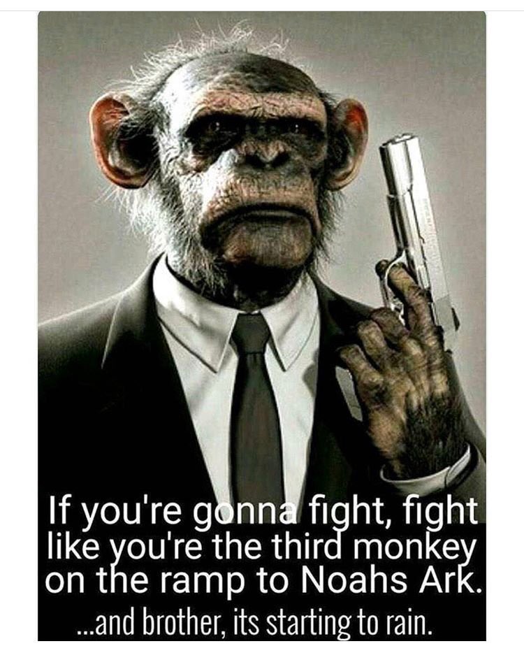 Tunesquadjj2018's tweet photo. #mood @KSteeleYoGirl @ChaseHigginson @johnnelson_65 @DRolfe8344 @kcoburn_20 @jeffyates8 @nkeis_11 #playofftime #squadup https://t.co/8PjVci49N3