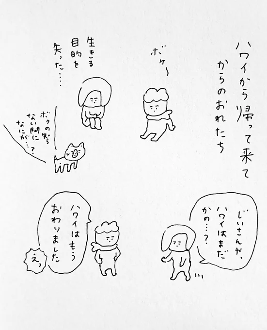 なにかしらの島に行きたい夫婦 