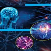 SciResLiteratur's tweet photo. Scientific Journal of Neurology &amp; Neurosurgery.
#Hydrocephalus Induced #Psychosis Associated with
Tentorial Meningioma: A #Case_Report.
https://t.co/SI0zwXo16v https://t.co/vgtTa8bRja