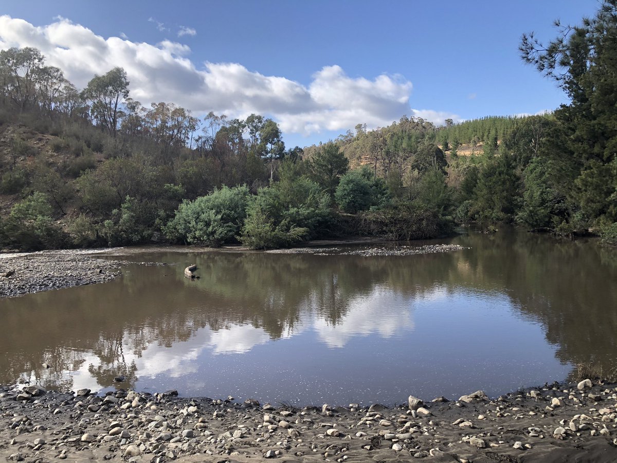 luke_hillsley's tweet photo. Been studying sediment deposition, stream flow velocity, river morphology and more over the past couple of days π±π¨π»βπ #science #cotterriver #environmentalscience #waterscience https://t.co/6Ww02Mik36