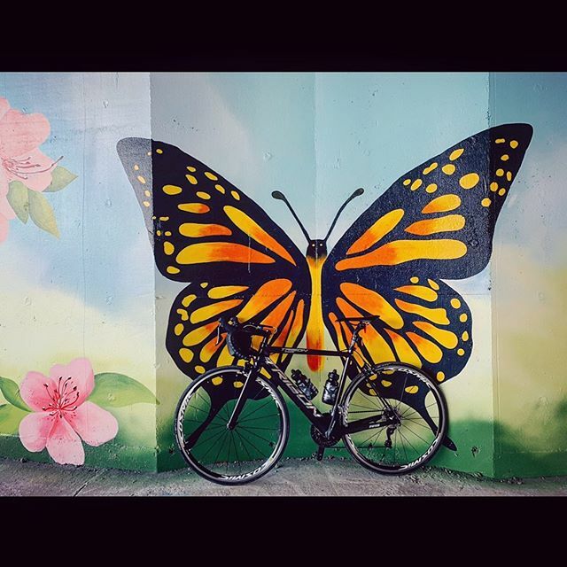 Fly by...
-
#FromWhereIRide #자전거그램 #자전거타기 #Cycling #Trigon #BikePorn #TrigonDarknessRS #트리곤 #트리곤다크니스 #트리곤다크니스rs #TaiwaneseBlackGold #나비 #Butterfly #Mariposa #🦋 #Pilipala #Schmetterling #성남 #경기도 ift.tt/325yZAM