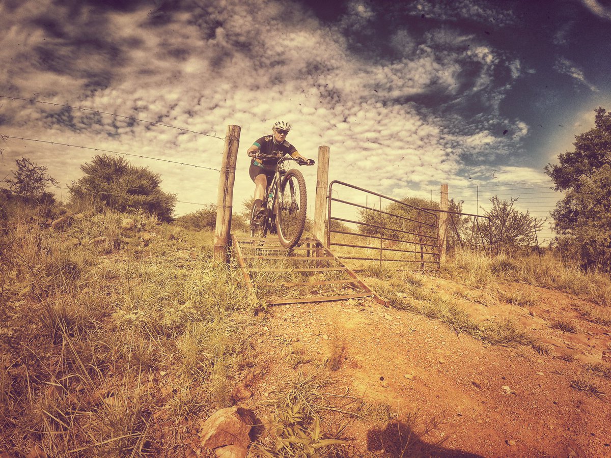 kim voller tweet media