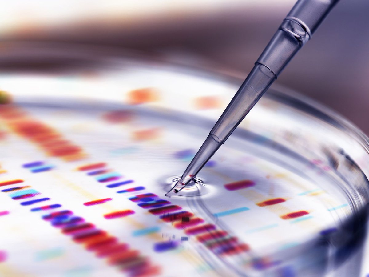 evans_riya's tweet photo. More interesting updates on Biotechnology 
Book your presentation slots at World Biotechnology 2020 #London #UK
@OfficeOf_MM @CaraKorte @GunnelsWarren
#biotechnology #genetics #cellbiology #immunology #molecularbiology https://t.co/ZjqzkZwprC