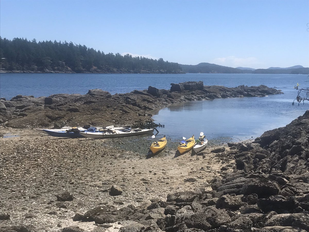 SSadventureco's tweet image. Spring is Early woohoo! Give us a call to book your next adventure! Explore on an ebike or jump in a boat, it is all amazing!! #ebikes #kayaking #comeadventurewithus