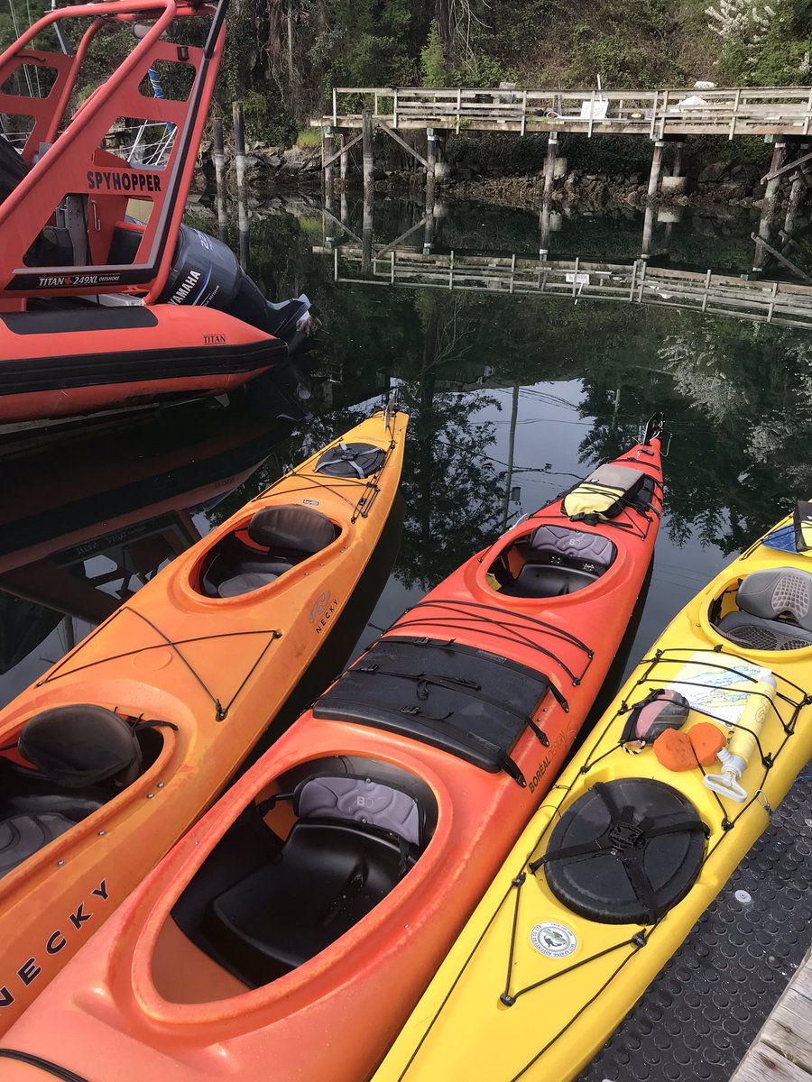 SSadventureco's tweet image. Spring is Early woohoo! Give us a call to book your next adventure! Explore on an ebike or jump in a boat, it is all amazing!! #ebikes #kayaking #comeadventurewithus