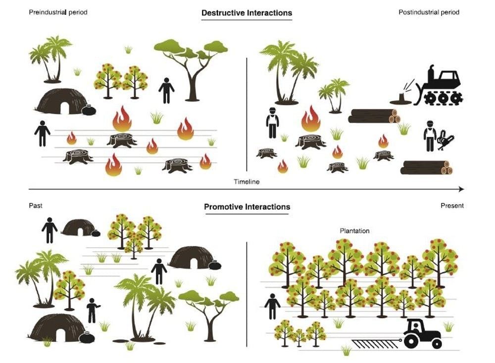 wef's tweet photo. Time capsules: the stories that Amazon trees can tell us https://t.co/kdgxZHpMyK #forests #environment https://t.co/5a1LDAqaTc
