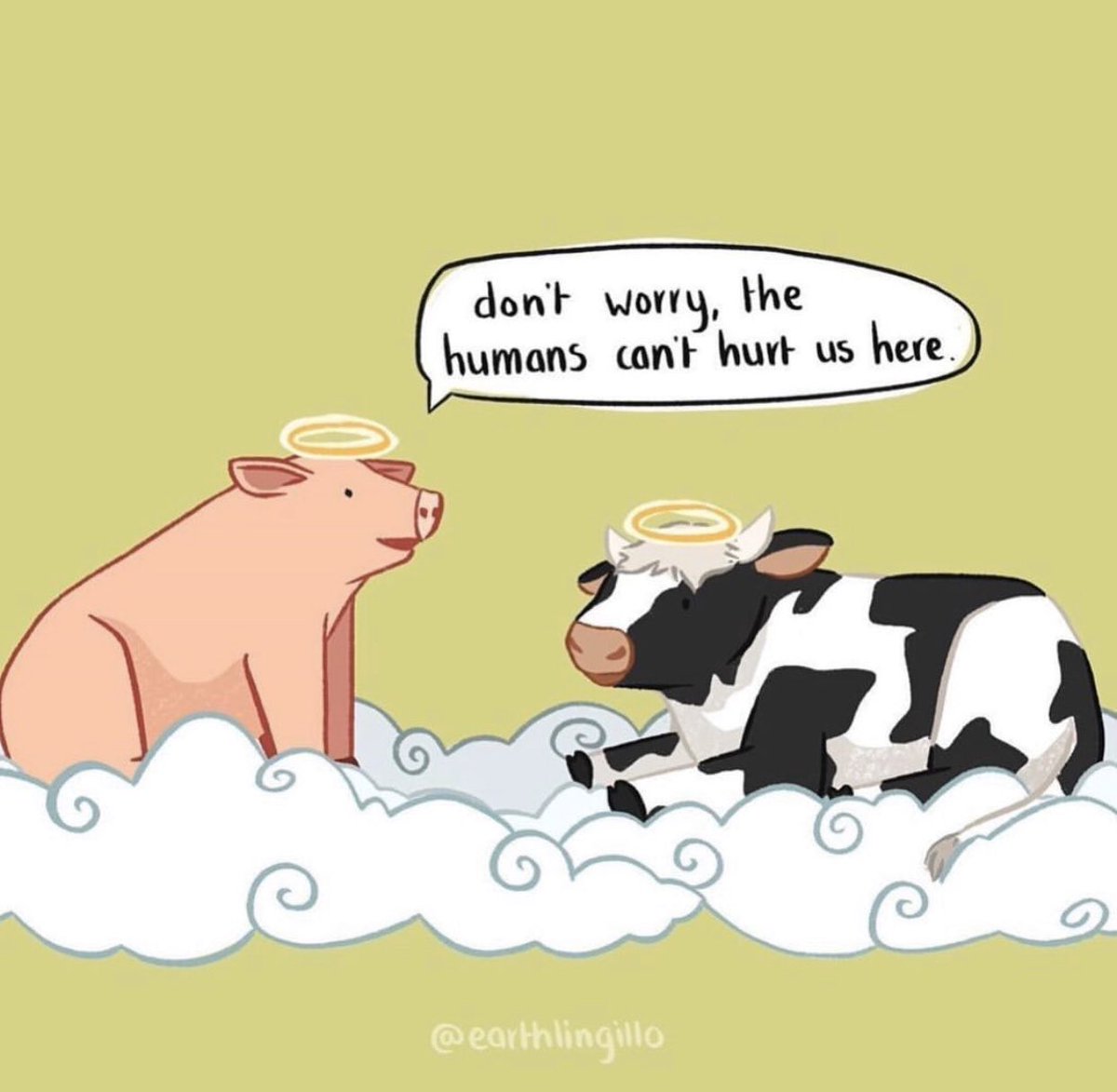 Total Animal Liberation tweet media