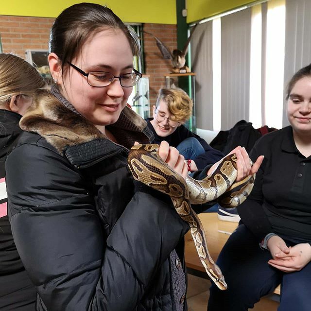 Another snek! 🐍😍 https://t.co/IMVJPIlurB https://t.co/T9vfbNbKo7