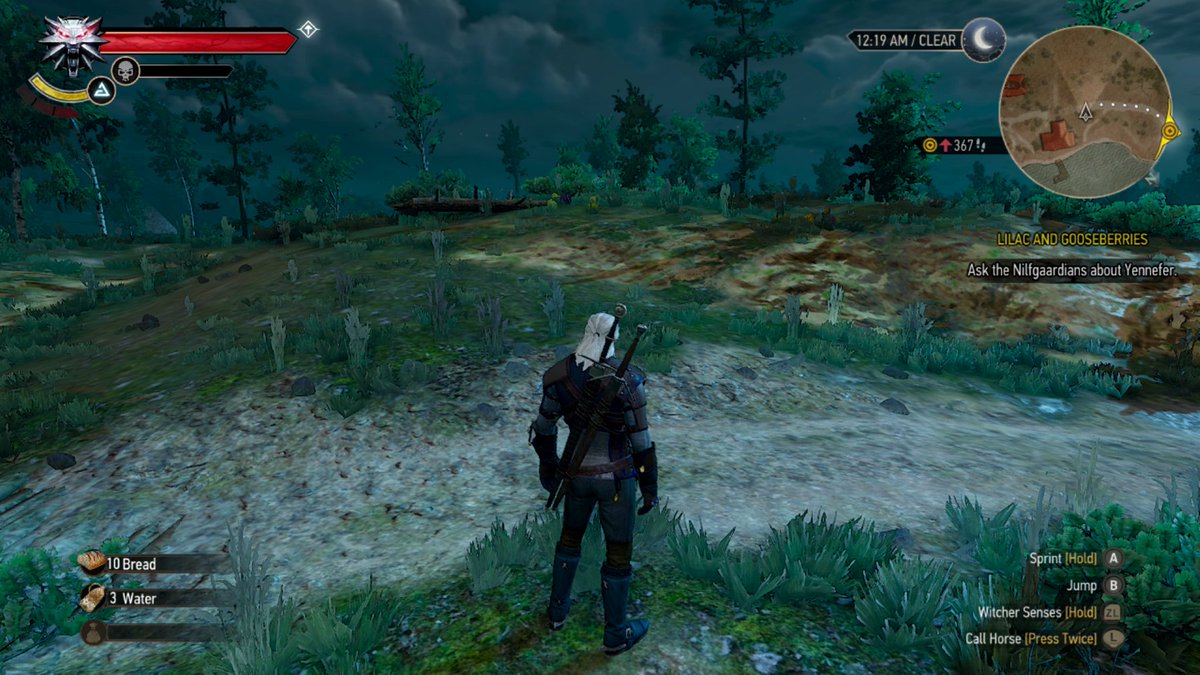 witcher 3 depth of field witcher 3 depth of field