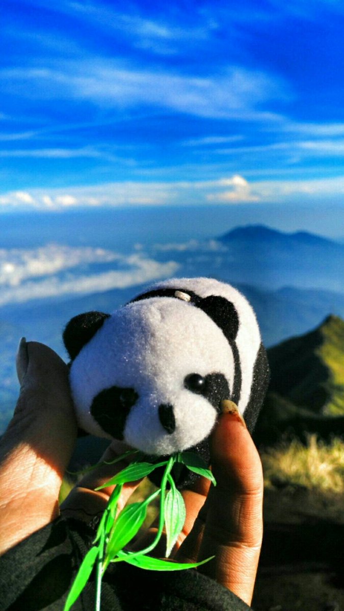 PSaptahadi's tweet photo. Merbabu Merindu!!! https://t.co/Lqfr2tW6lY