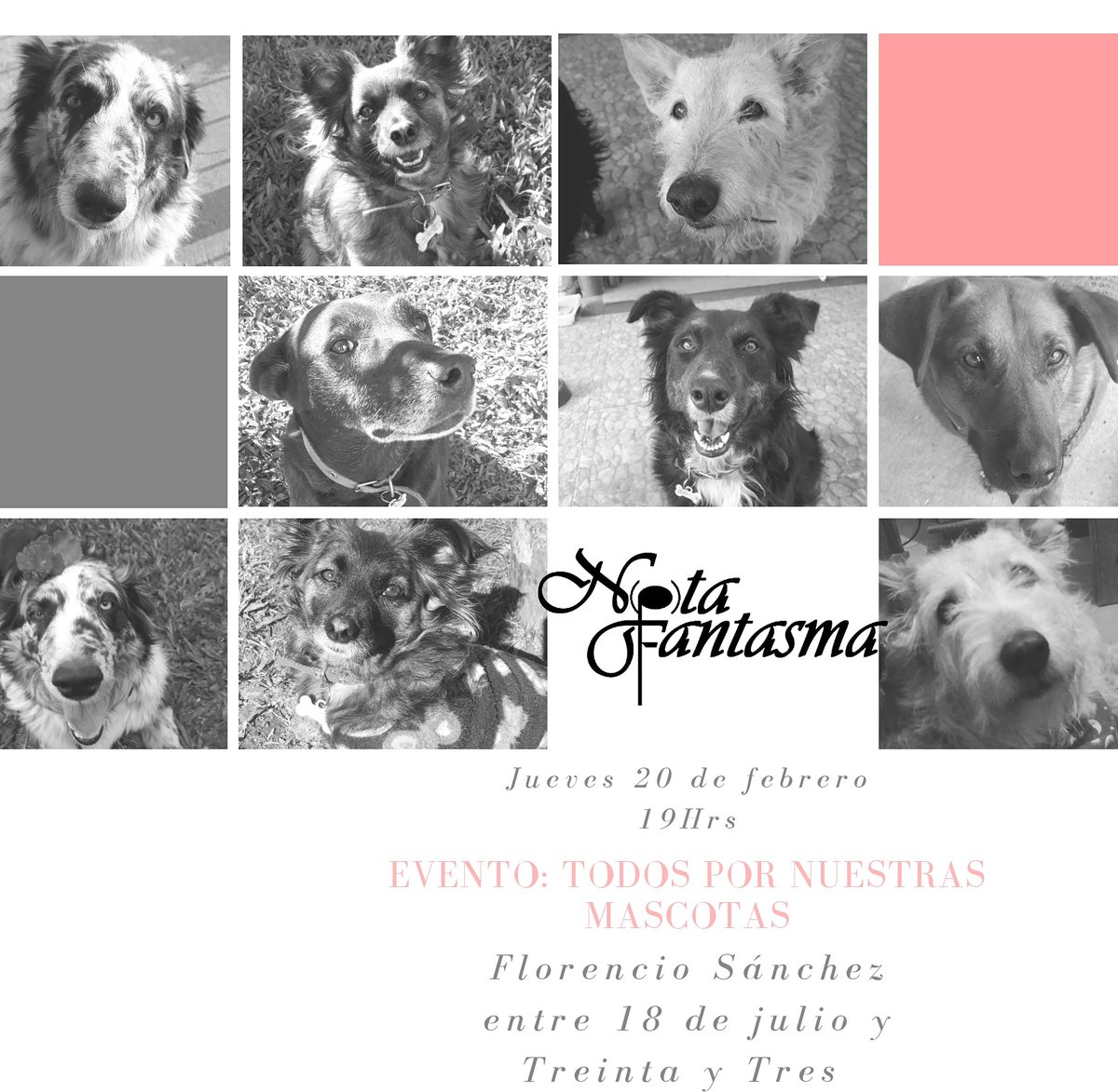 Nota_Fantasma's tweet photo. Estaremos haciendo un acústico en el evento a beneficio de la Protectora de Animales. Los esperamos!! 🐕🐶❤ https://t.co/aFo4EcDLHk