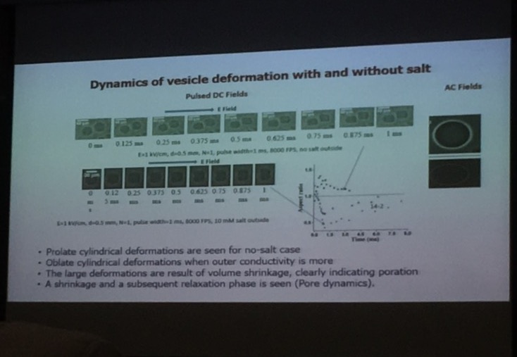 WormlockHolmes's tweet photo. Vesicles electrodeform in 1-10ms time scales under pulsed DC electric pulses. Vesicle shrinks by losing water via poration dependent on salt concentration. Implications for electroporation mediated delivery. Rochish Thaokar @iitbombay #ISCSM2020 https://t.co/UxpH2vqZug