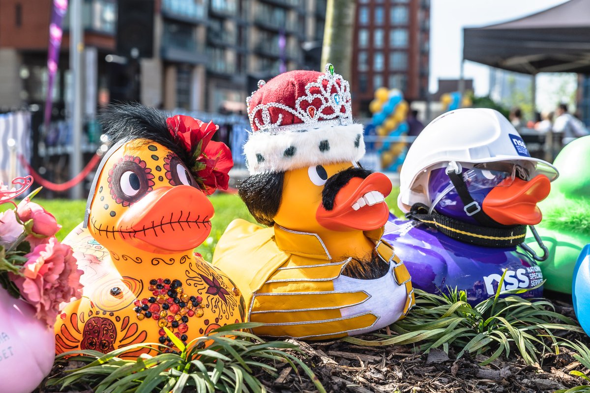 BrainwaveCentre's tweet photo. Our corporate ducks are proving to be popular! Thank you to @TheSlateYard, @InTouchNetworks &amp; @morgansindall who have recently purchased their ducks. 

We're excited to see what everyone comes up with this year! Below are some of our favourites from previous years.  #mcrduckrace https://t.co/UfSbyeFkjo