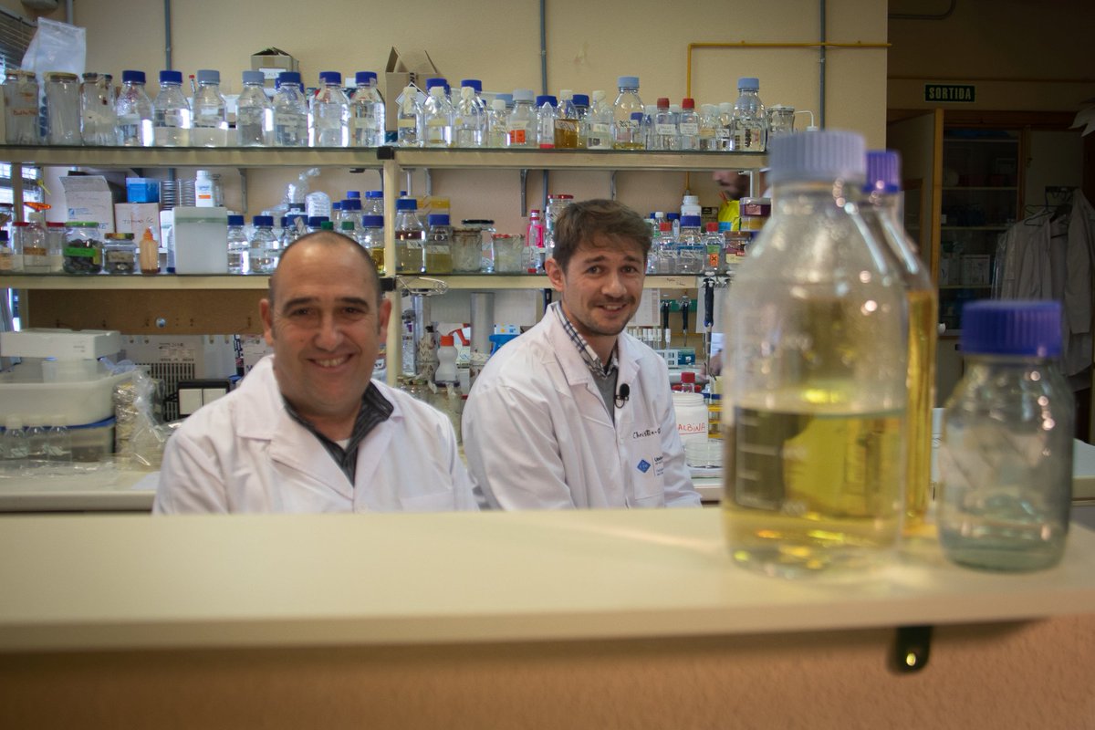UIBuniversitat's tweet photo. 🦠🌊 La contribució dels #microbis marins a la biodegradació dels additius del #plàstic.
La revista Environmental Science & Technology destaca un estudi del grup de recerca en #Microbiologia de la UIB a la portada del seu darrer número! 👉 https://t.co/2cZw6MLmiX https://t.co/23kuHzE3dP