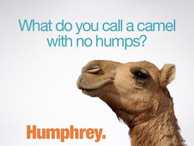 ACreditRepair2's tweet photo. Happy Hump Day !!! 
1/2 way to the weekend peeps !🙌🏻
#creditrepair #taxes 
#weloveourcustomers https://t.co/o5orcvfach