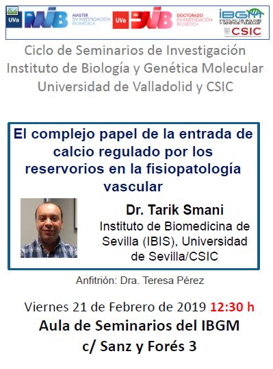 IBGM-CSIC/UVa tweet media