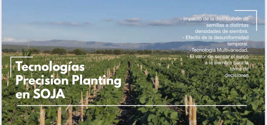 LUIS VERRI tweet media