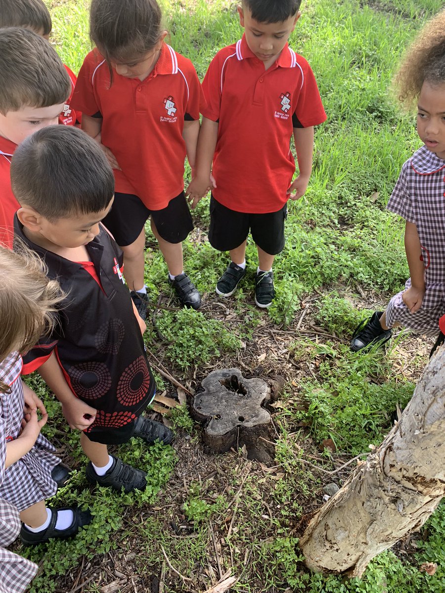 JessKB93's tweet photo. Day Five. We searched for evidence of history in our school. What happened before this moment? We wondered whether our school was bush land before it was constructed. #k1p #shpps #getoutside #walkingcurriculum #30daychallenge https://t.co/fEDGkAxOtk