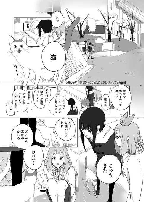 【合同本サンプル】umiさん(@umi_zenbiraki )「うちの子が一番可愛いので皆に見て欲しいってヤツ」
南中カルテット4人での学校の帰り道、猫ちゃんに出会うお話。そのままみぞれの飼ってる猫のお話になって…。静かな冬の帰り道で、4人それぞれに弾む会話と猫ちゃんと温かい空気感でほっこりします? 